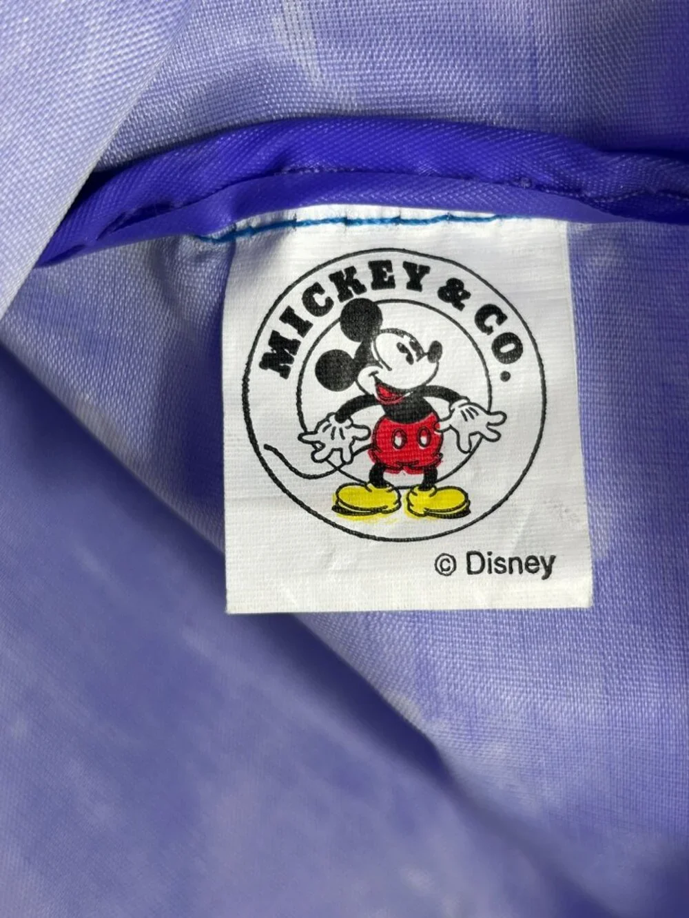 Mickey & Co. Vintage 90s Disney Mickey Mouse University Nylon Backpack